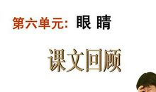 满分作文-《我用我的眼睛看》