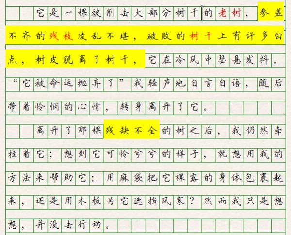 初中语文,哲理一定要有,形象必须感人,所谓没创新也是好作文 4