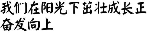 阳光下的精彩_800字