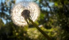 写战“疫”作文，这20个佳句+立意给孩子提供思路