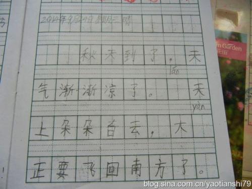 院子里的秋天 秋天来了作文300字