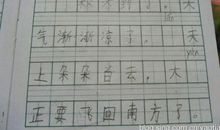 院子里的秋天 秋天来了作文300字