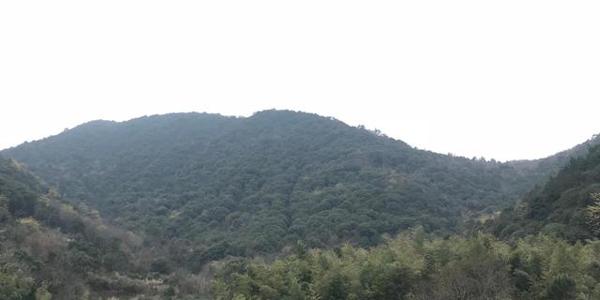 小时候写作文是否也是如此:小孩的烦心事