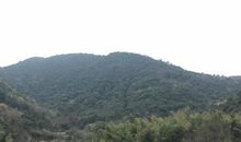 小时候写作文是否也是如此：小孩的烦心事