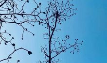 初中语文，哲理一定要有，形象必须感人，所谓没创新也是好作文