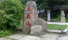五年级作文：游凤凰山