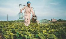 裙子姐姐讲作文【第二期】