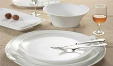 肉盘子和鼠盘子作文