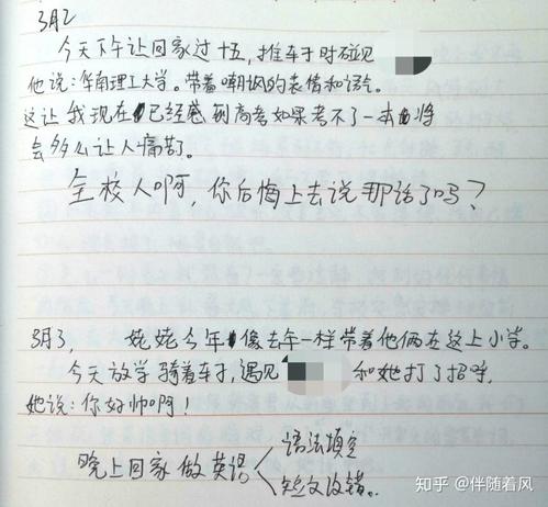 高三日记：挑战_1200字