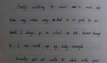 初二英语作文：Thy way植物树_350字