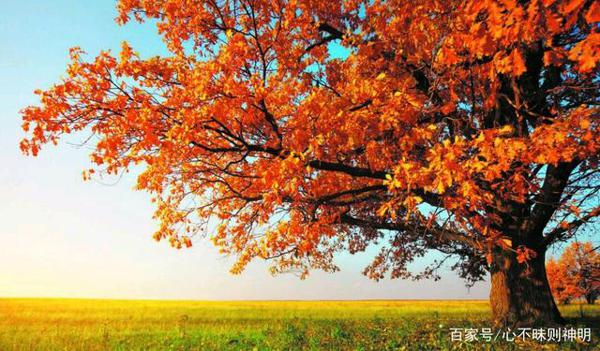 初中生,语文有三怕;一怕周树人,二怕写作文,三怕文言文! 1