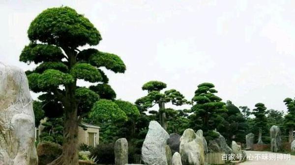 初中生，语文有三怕；一怕周树人，二怕写作文，三怕文言文！