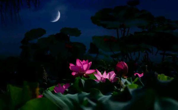 多读书就能写好作文？老师：我想说句实话…… 3