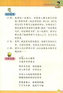 “语”书共享 | 读后感赏析（4）
