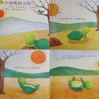 小乌龟晒太阳 童话故事作文600字