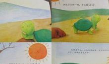 小乌龟晒太阳 童话故事作文600字
