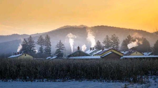 多读书就能写好作文？老师：我想说句实话…… 1