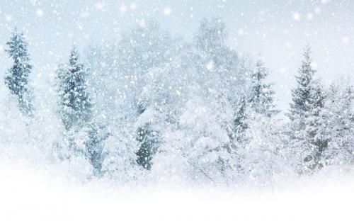 雪_800字
