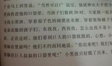 森林王者的选举 童话故事作文600字