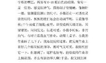 我的心爱之物 心爱的自行车作文600字