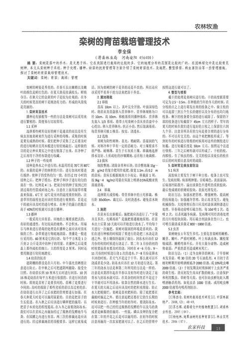 栾树 写物的作文700字