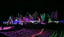 生态园灯展 参观灯展作文500字