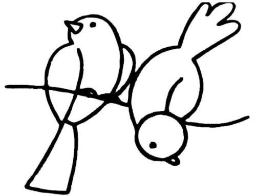 小鸟啊，你飞向何方？ 可爱的小鸟作文900字