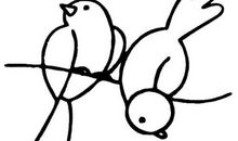 小鸟啊，你飞向何方？ 可爱的小鸟作文900字