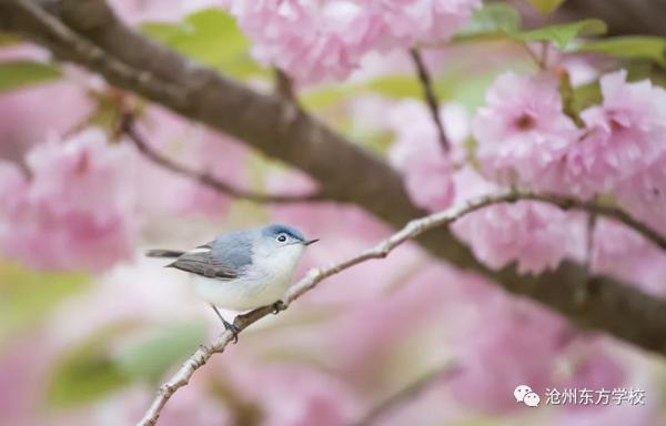 初中优秀作文（6）：难忘的儿时生活（6中王乙然） 2