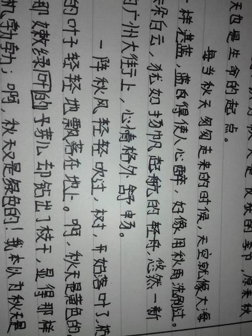 谢谢你影子作文