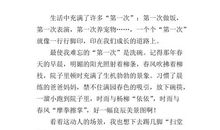 发表文章-难忘的经历作文600字