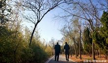 情感类作文——银发丝