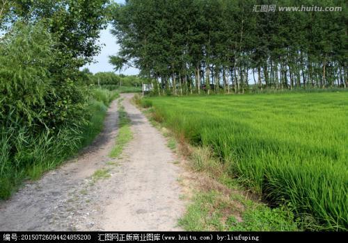 田埂路_1000字