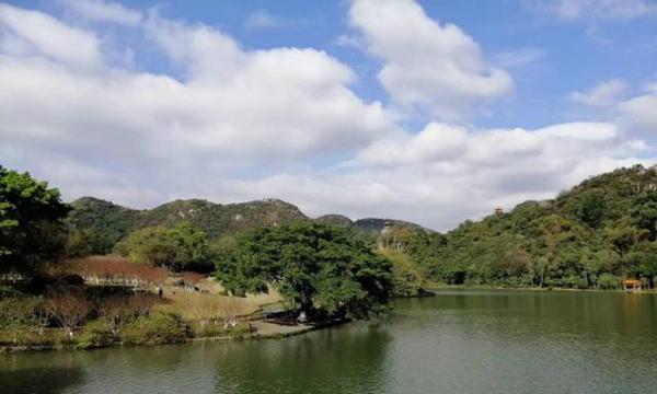 写作文的时候为什么总感到没有东西可写，无从下笔 1