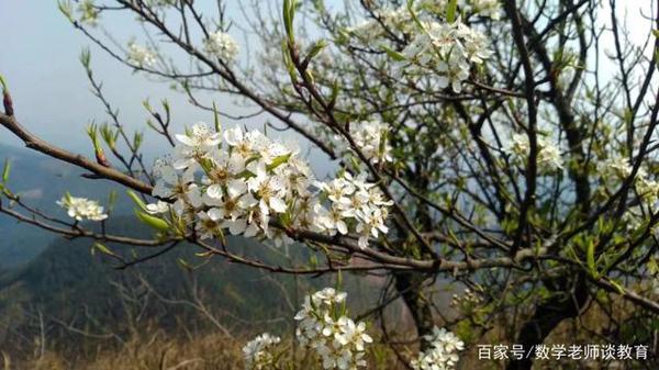 写作文的时候为什么总感到没有东西可写，无从下笔