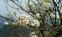 写作文的时候为什么总感到没有东西可写，无从下笔