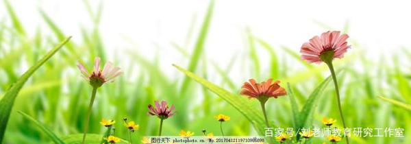 观察生活,广泛阅读,提升中考作文质量 7