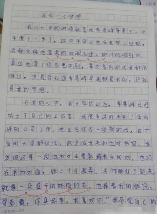 初一写人作文：我的偶像_750字