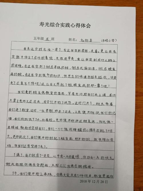 综合实践心得体会