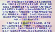 初一写人作文：你_900字