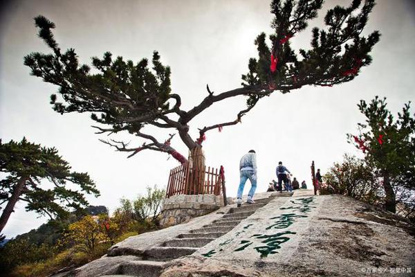 中小学生作文写作手法系列之“山不喜平，文贵起伏”，网友：受教 2