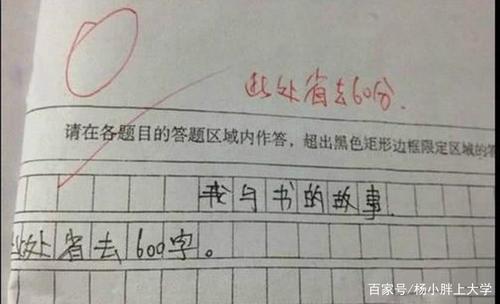我和“天马”的故事-高中记叙文900字