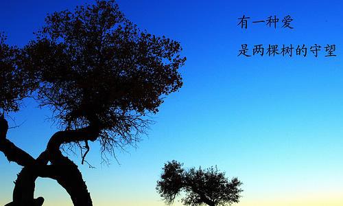 那夺目的闪光灯 优秀记叙文800字