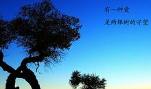 那夺目的闪光灯 优秀记叙文800字