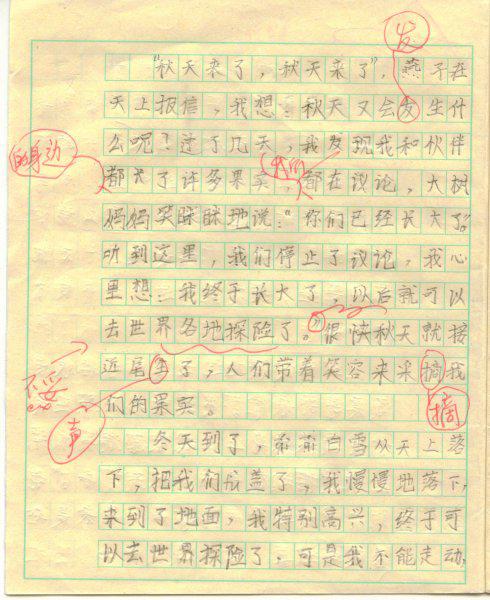我是一片叶子 想象的作文500字