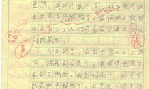 我是一片叶子 想象的作文500字
