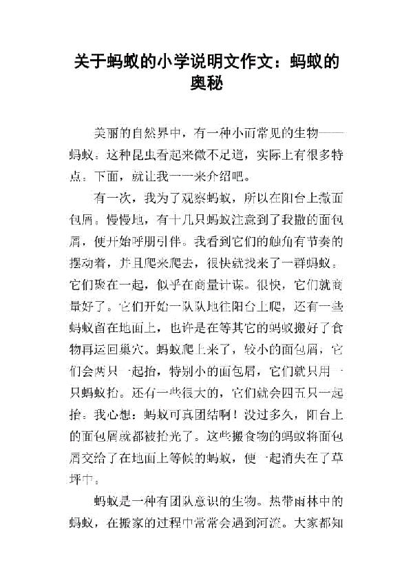 蚂蚁的秘密 小学说明文400字