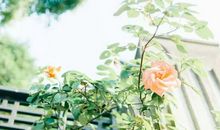 【作文大讲堂】名师支招，让你的议论摆脱枯燥！