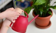 母亲节到了，母亲节作文也到了，这篇作文拿去直接用！