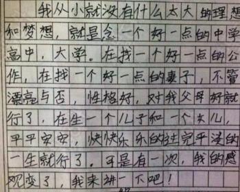 中国面孔作文